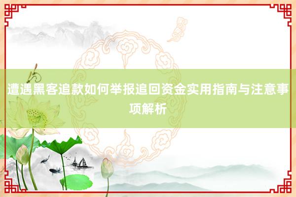 遭遇黑客追款如何举报追回资金实用指南与注意事项解析